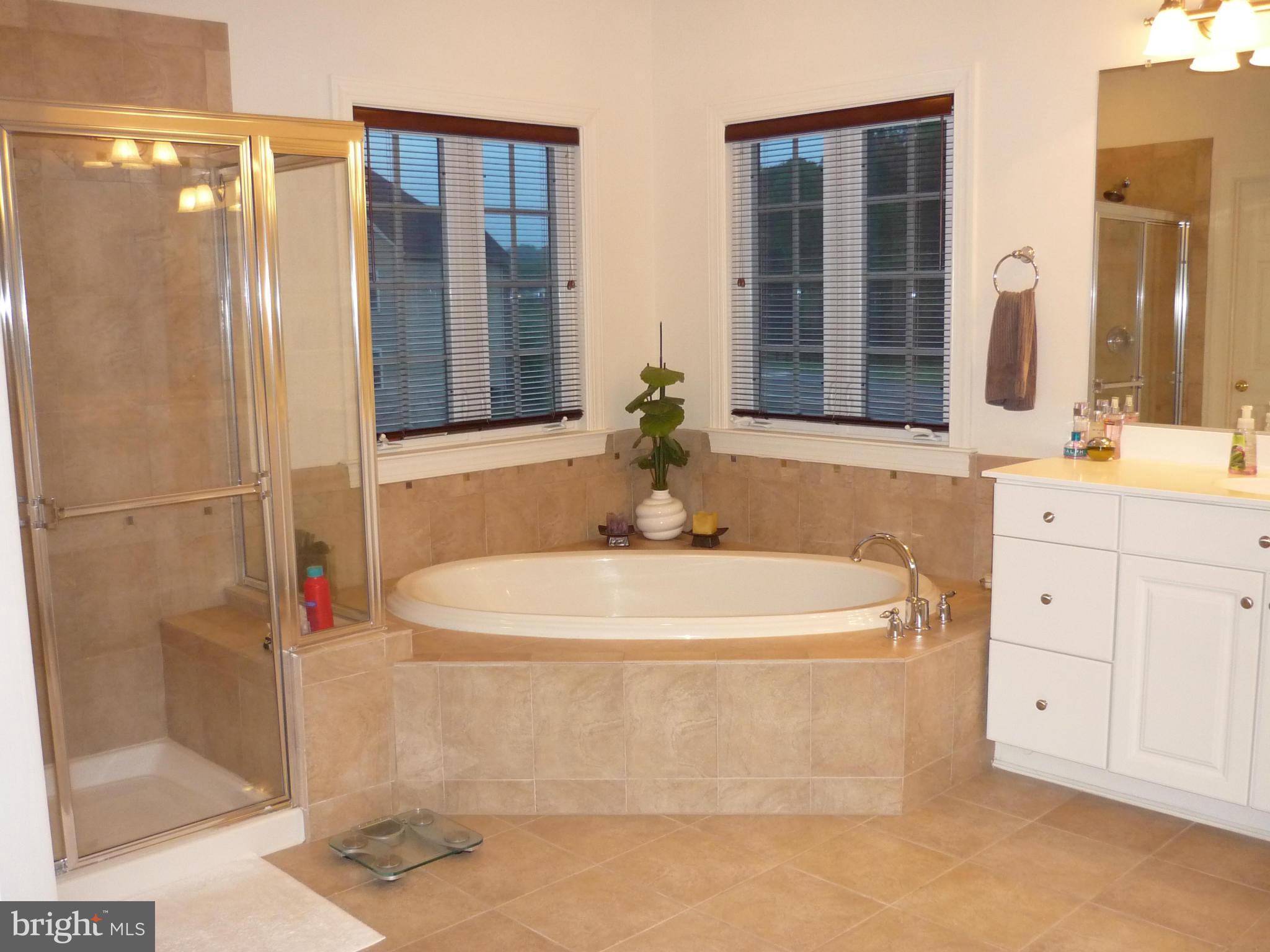 7258 Joshua Tree Circle Warrenton, VA 20187 - Photo 11 of 16 a white bath tub sitting next to a shower