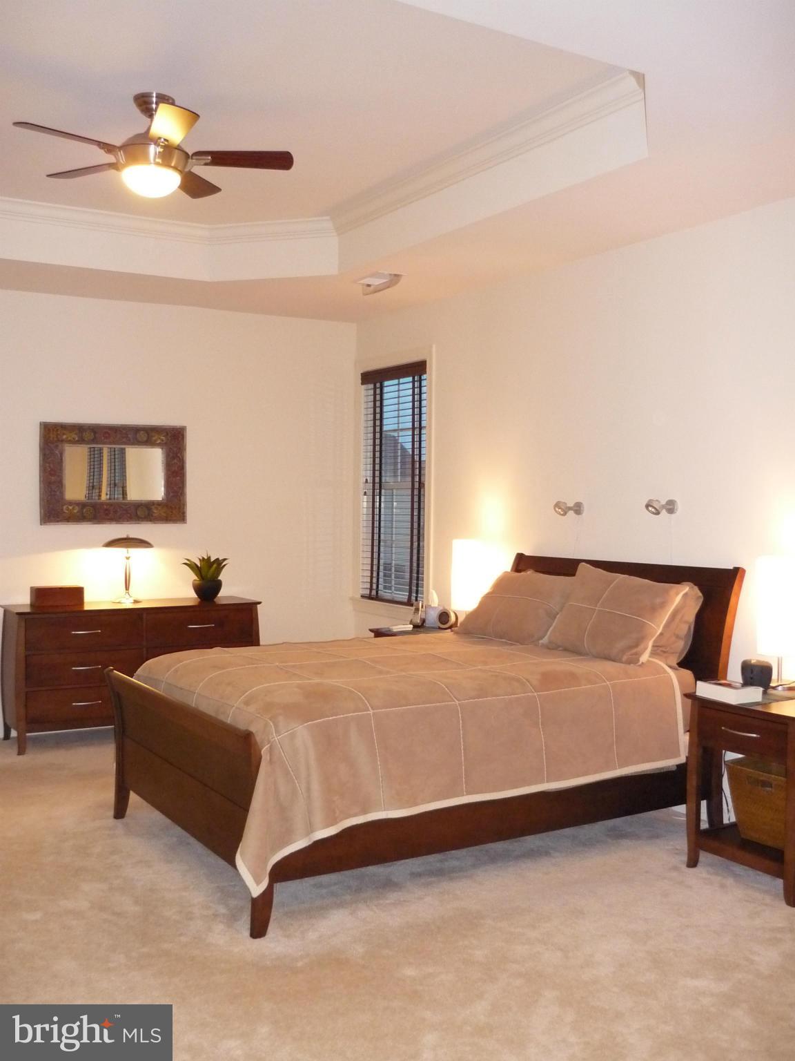 7258 Joshua Tree Circle Warrenton, VA 20187 - Photo 12 of 16 a bedroom with a bed dresser and a chandelier