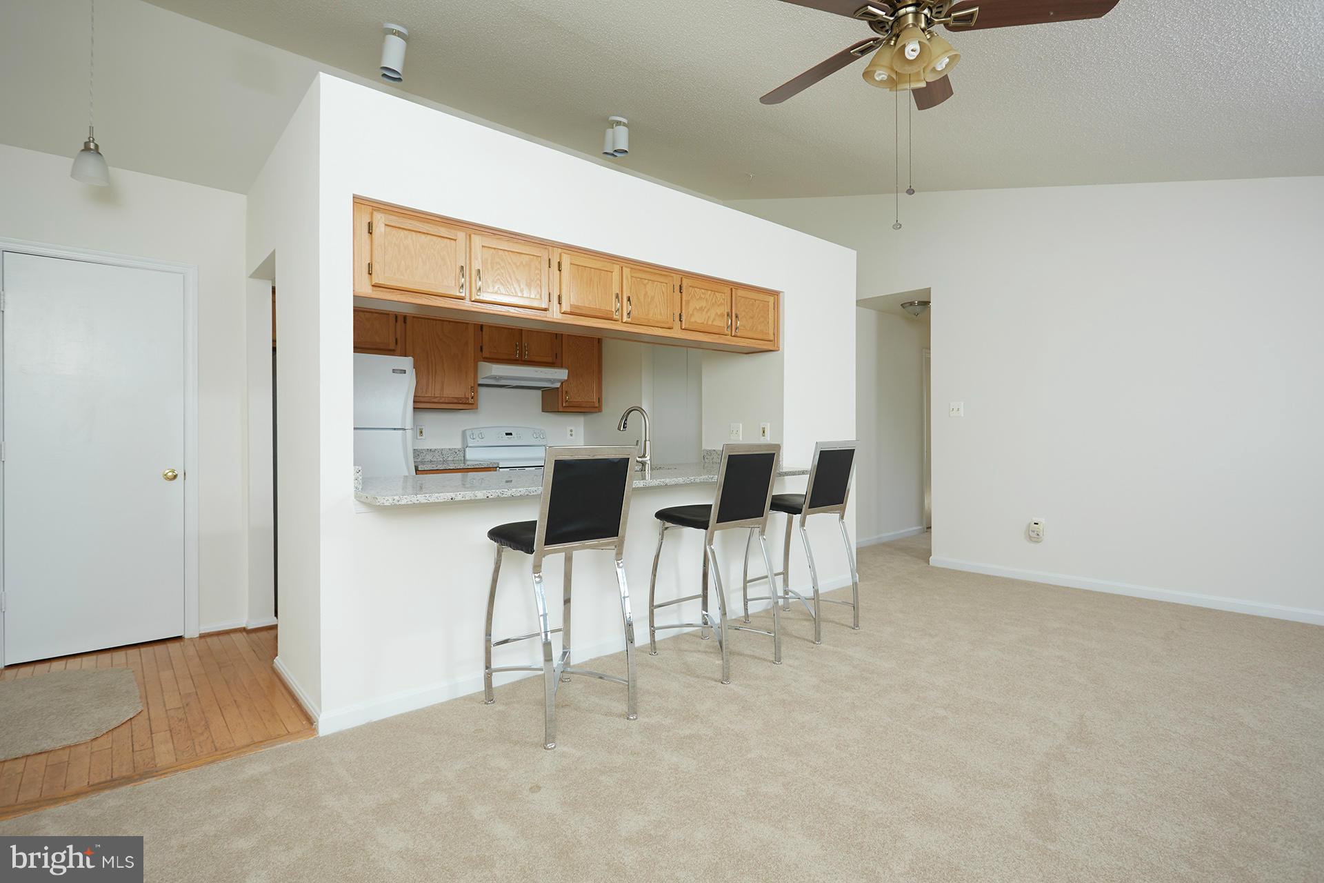 2715 Snowbird Terrace, Unit 1028 Silver Spring, MD 20906 - Photo 3 of 20 Living Room