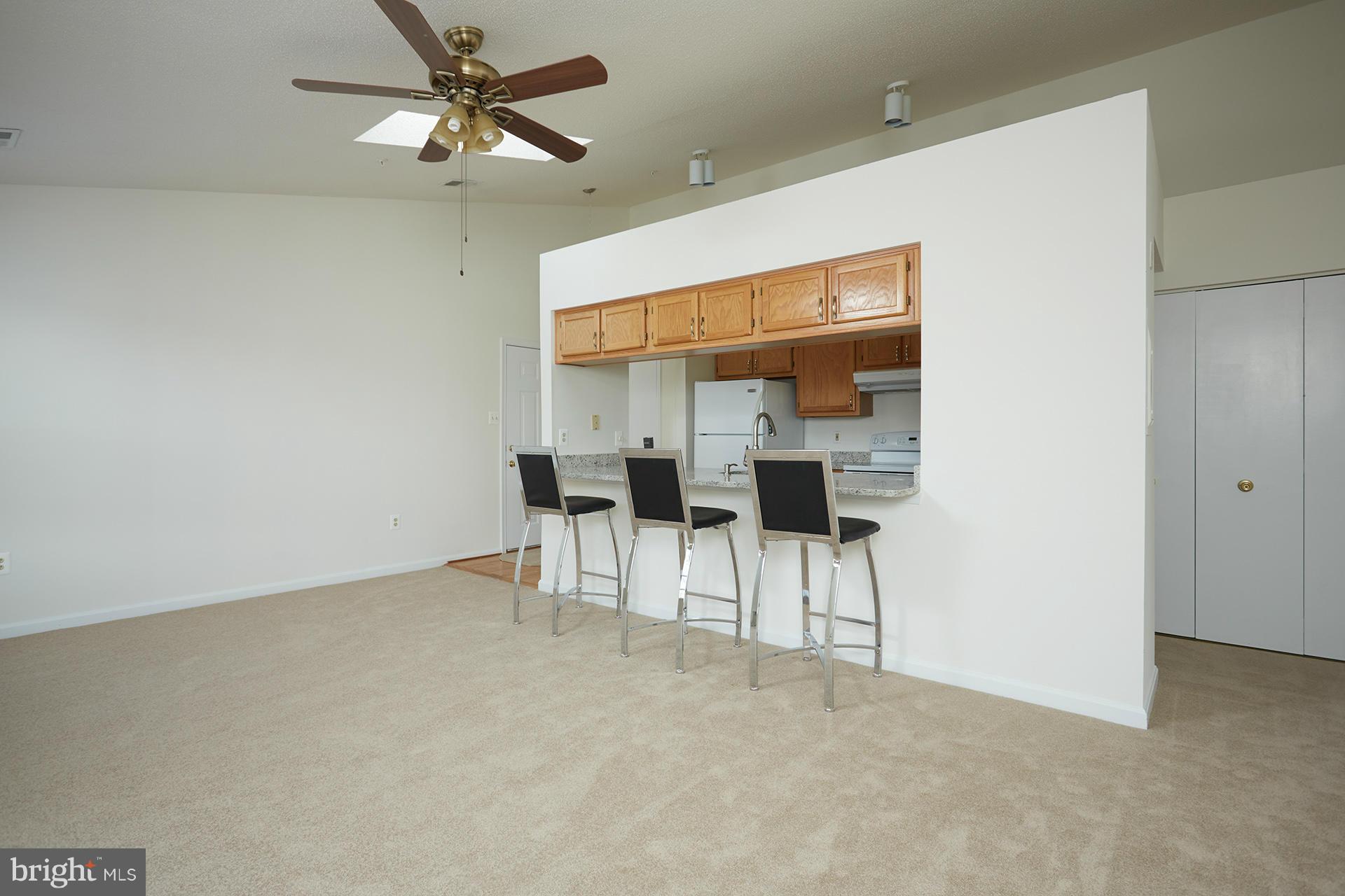 2715 Snowbird Terrace, Unit 1028 Silver Spring, MD 20906 - Photo 4 of 20 Living Room