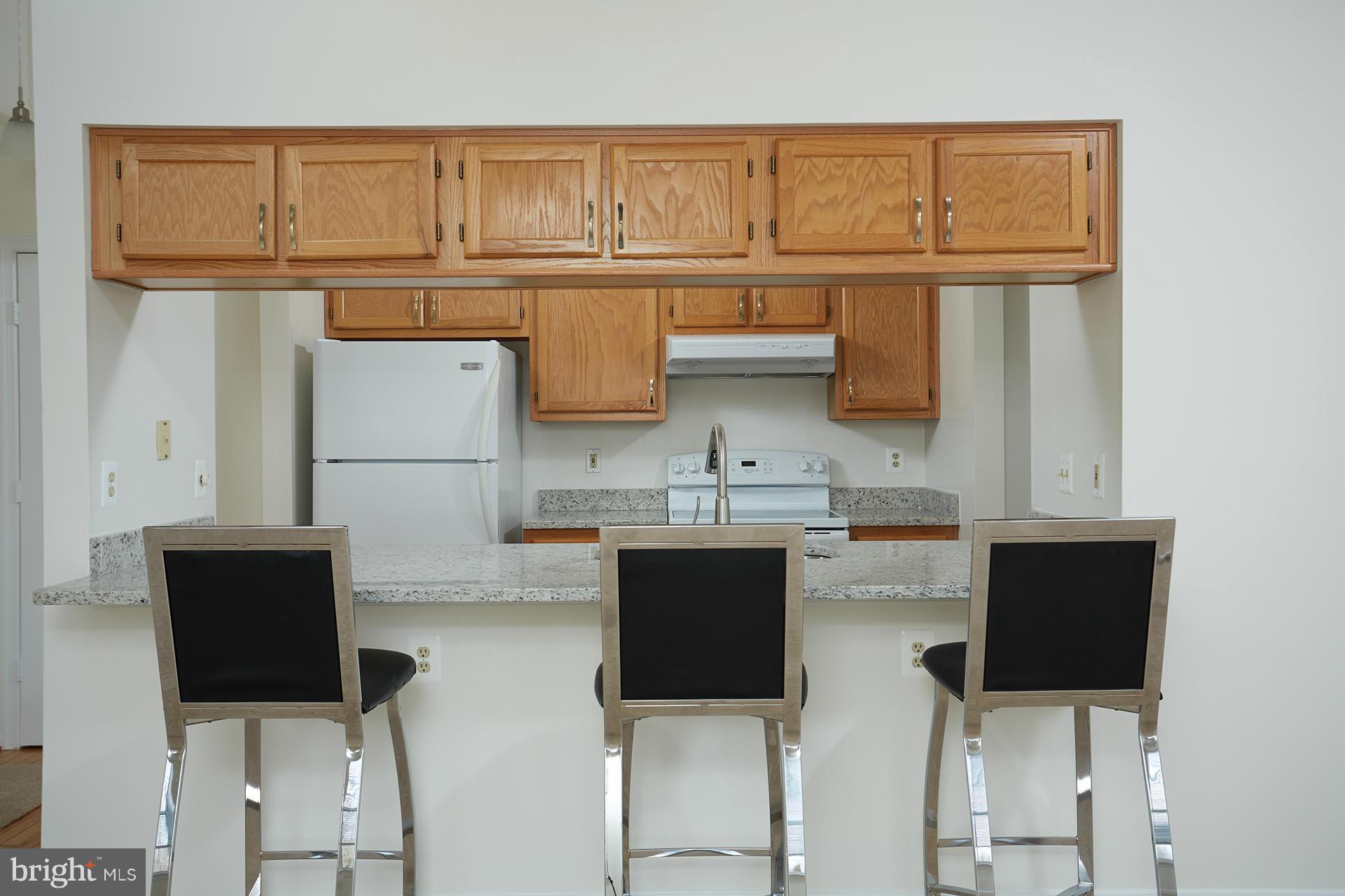 2715 Snowbird Terrace, Unit 1028 Silver Spring, MD 20906 - Photo 6 of 20 Kitchen