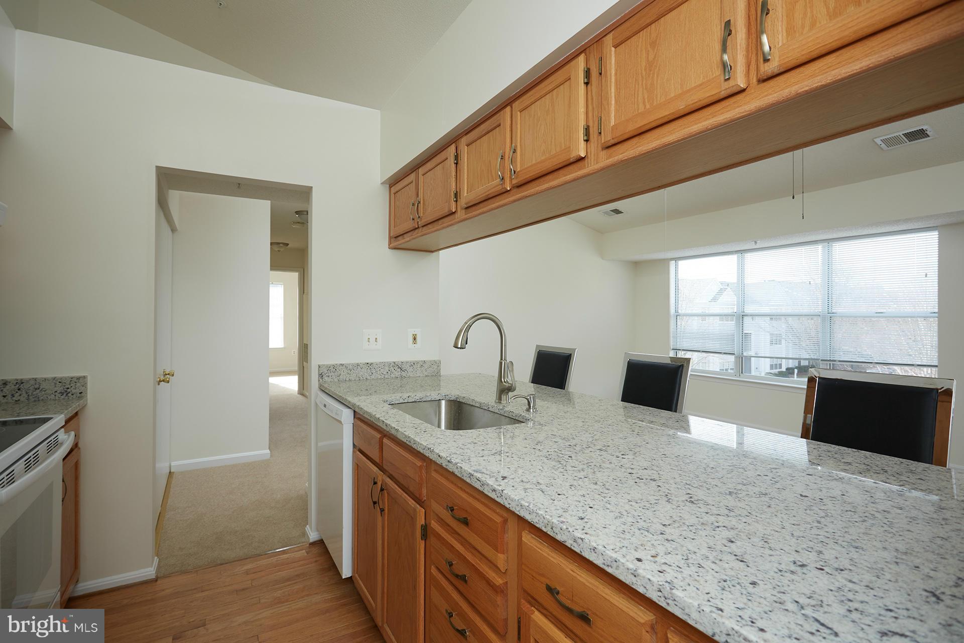 2715 Snowbird Terrace, Unit 1028 Silver Spring, MD 20906 - Photo 7 of 20 Kitchen