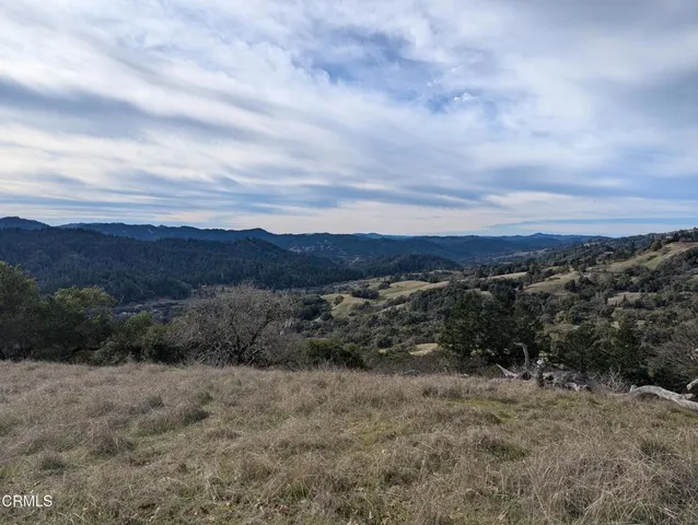 $1,650,000 | 24051 Fig Tree Lane, Hopland, CA 95449