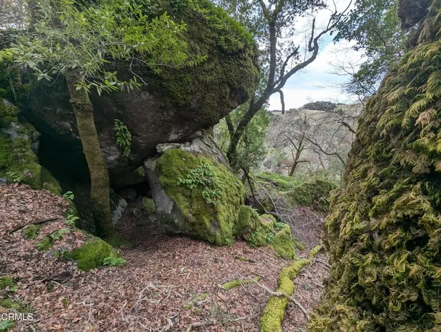 $1,650,000 | 24051 Fig Tree Lane, Hopland, CA 95449