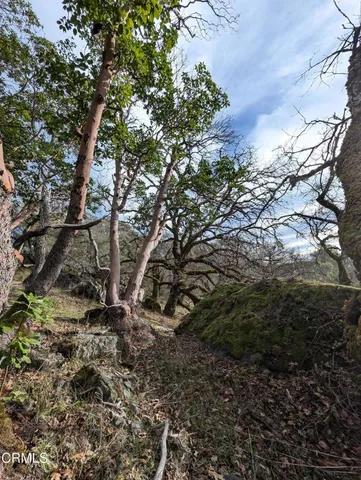 $1,650,000 | 24051 Fig Tree Lane, Hopland, CA 95449