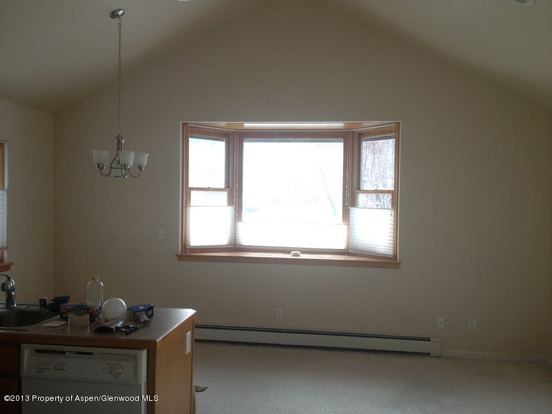 334 Alexander Lane, Unit 24 Basalt, CO 81621 - Photo 4 of 28 IMG_1041