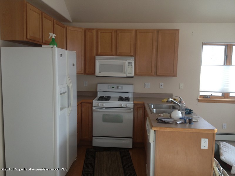 334 Alexander Lane, Unit 24 Basalt, CO 81621 - Photo 5 of 28 IMG_1042