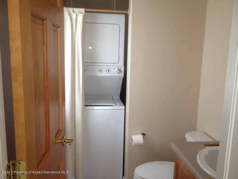 334 Alexander Lane, Unit 24 Basalt, CO 81621 - Photo 7 of 28 IMG_1044
