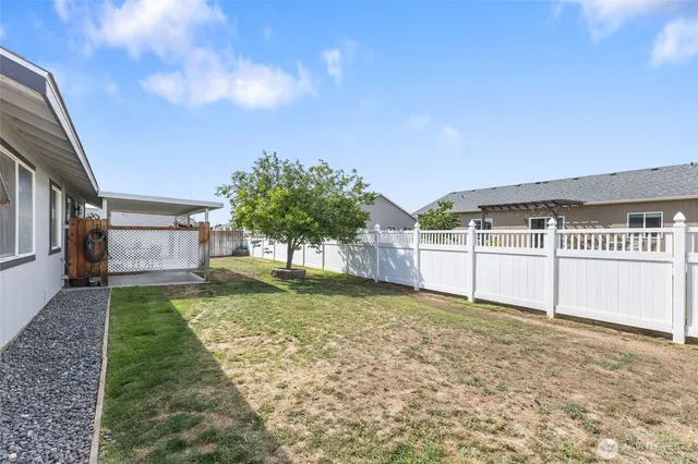 a view of a backyard