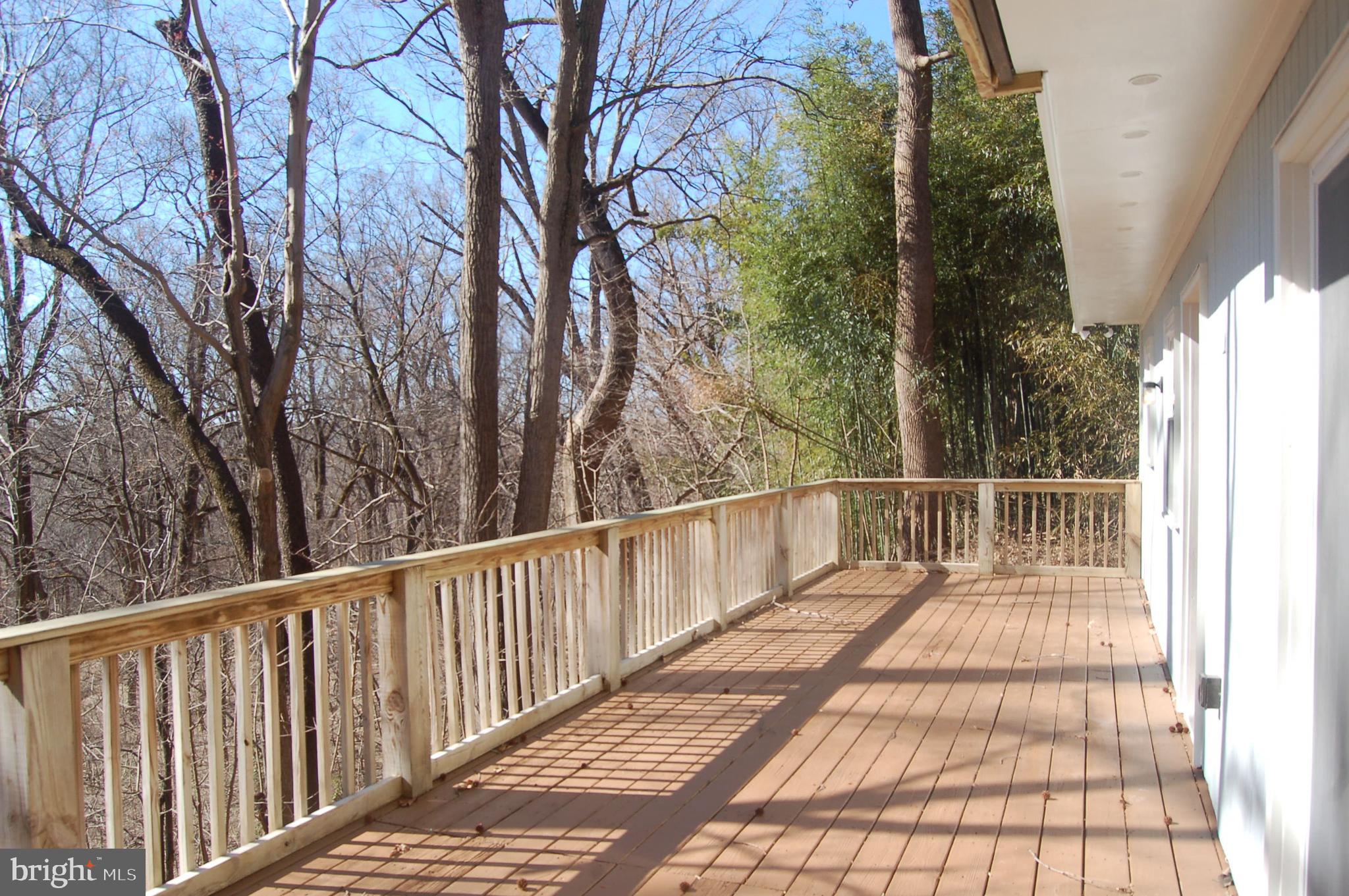 405 Pine Road Fort Washington, MD 20744 - Photo 3 of 37
