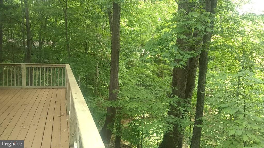 405 Pine Road Fort Washington, MD 20744 - Photo 4 of 37