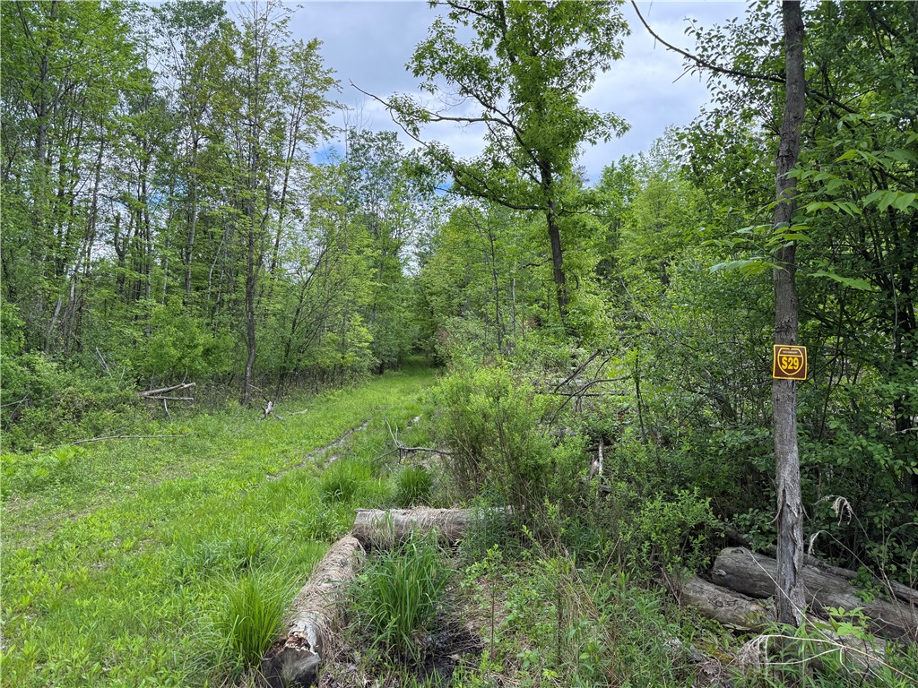 Hawley Road Bradford, NY 14815 - Photo 26 of 42