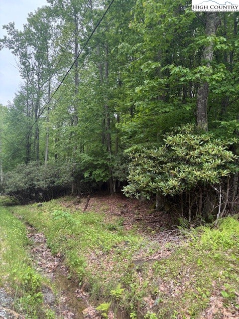 522 St Andrews Road Beech Mountain, NC 28604 - Photo 1 of 9 a view of a garden
