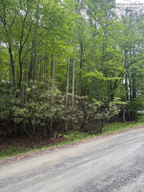 522 St Andrews Road Beech Mountain, NC 28604 - Photo 2 of 9 a view of a yard with plants and large trees