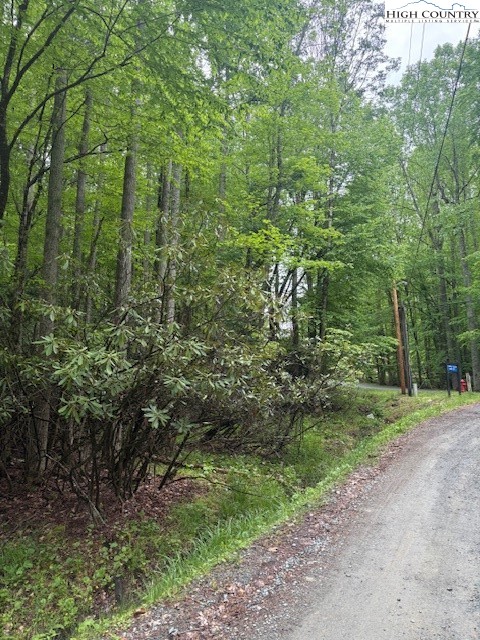 522 St Andrews Road Beech Mountain, NC 28604 - Photo 3 of 9 a view of a yard with plants and large trees