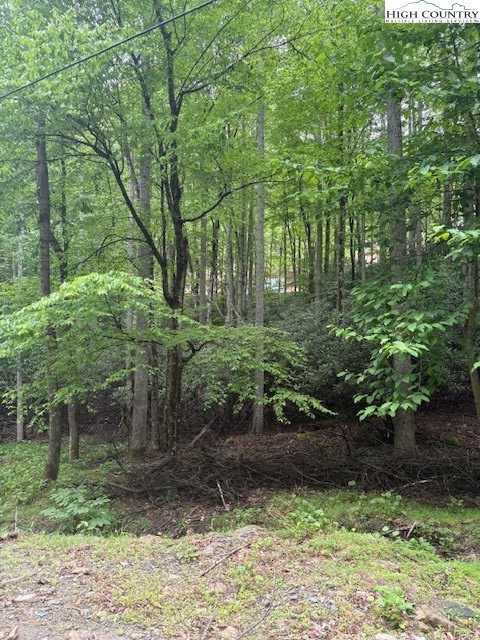522 St Andrews Road Beech Mountain, NC 28604 - Photo 4 of 9 a view of a garden