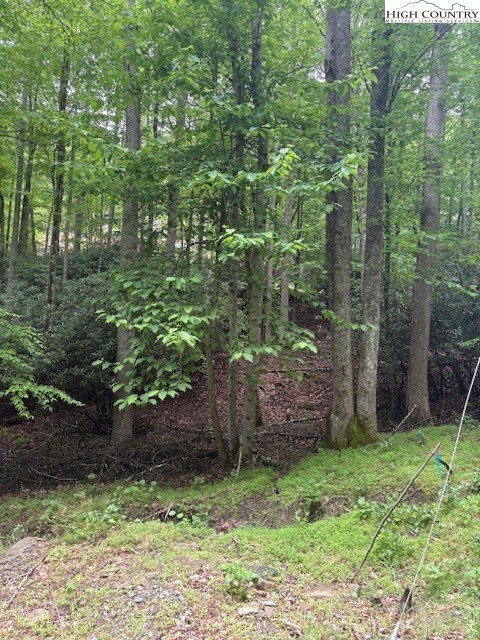 522 St Andrews Road Beech Mountain, NC 28604 - Photo 5 of 9 a view of a backyard