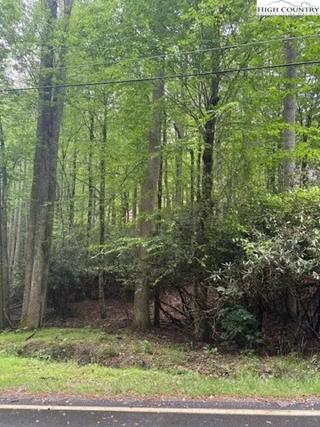 a view of a yard with large trees