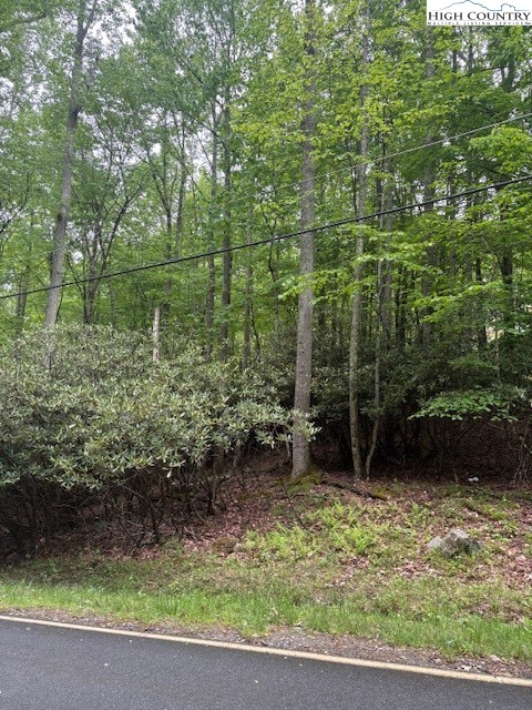 522 St Andrews Road Beech Mountain, NC 28604 - Photo 7 of 9 a backyard of a house with lots of green space