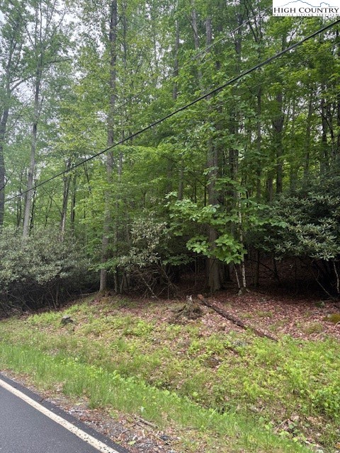 522 St Andrews Road Beech Mountain, NC 28604 - Photo 8 of 9 a view of a backyard