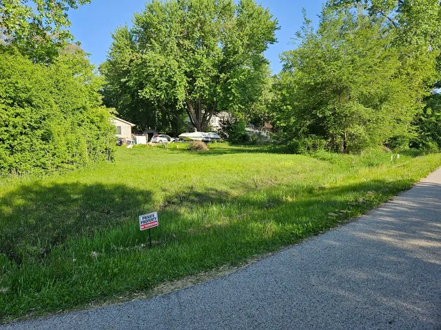 a view of a lush green space