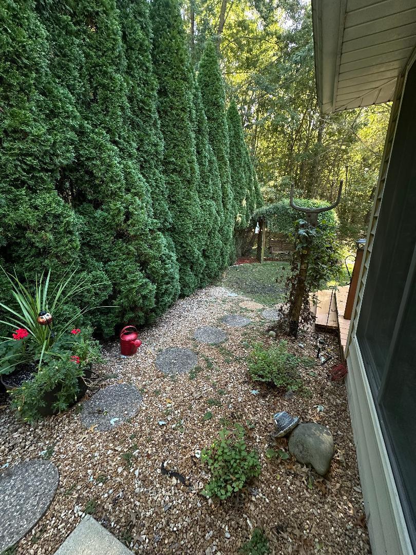 3431 Drivers Way Chesterton, IN 46304 - Photo 22 of 31 a view of a backyard with potted plants and large tree