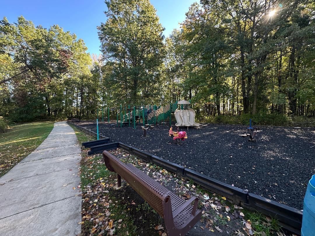 3431 Drivers Way Chesterton, IN 46304 - Photo 30 of 31 a view of a backyard with large trees