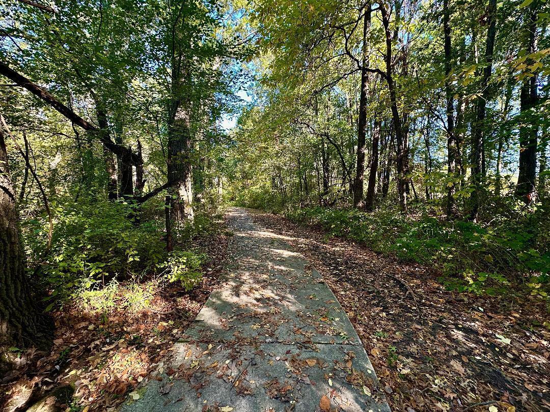3431 Drivers Way Chesterton, IN 46304 - Photo 31 of 31 a big yard with lots of green space and house