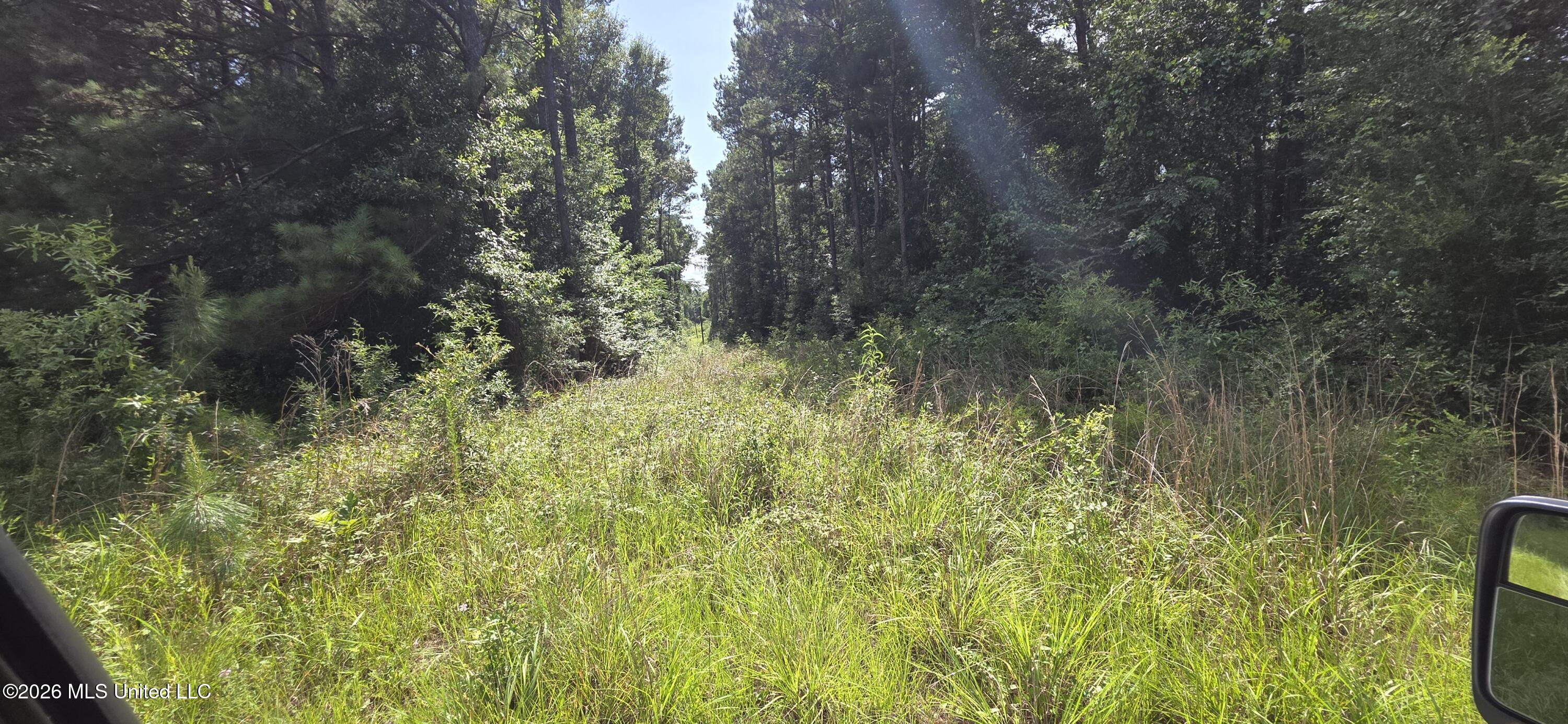 2046 Barto Leggett Road McComb, MS 39648 - Photo 13 of 29 20260623_160057