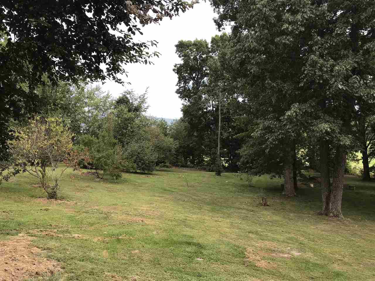 15 Lilly Farm Lane Raphine, VA 24472 - Photo 36 of 49 a view of a yard with a tree