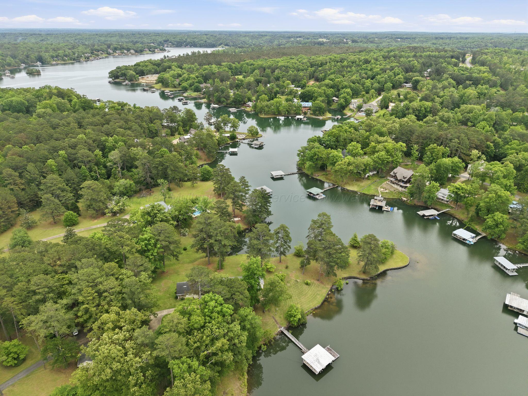 140 Burtwood Acres Road Jasper, AL 35503 - Photo 43 of 45 Aerial