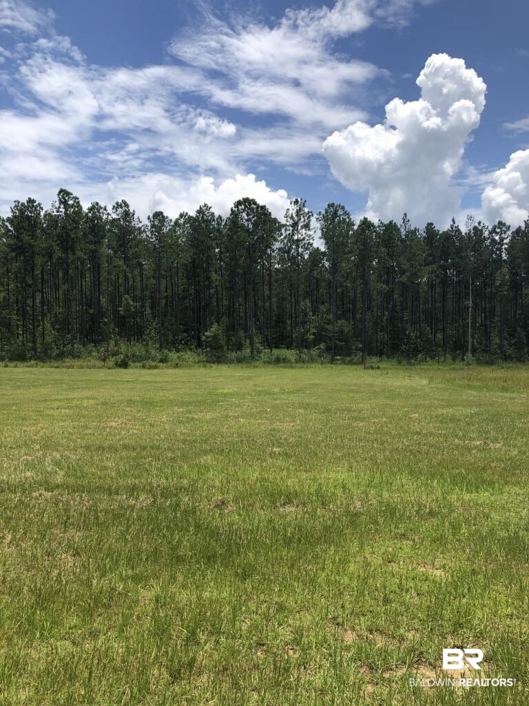 0 Bud Odom Road Deer Park, AL 36529 - Photo 3 of 50