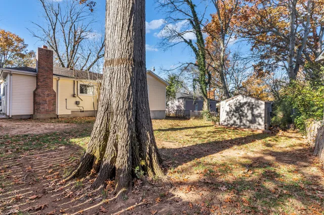 a view of a yard with a tree