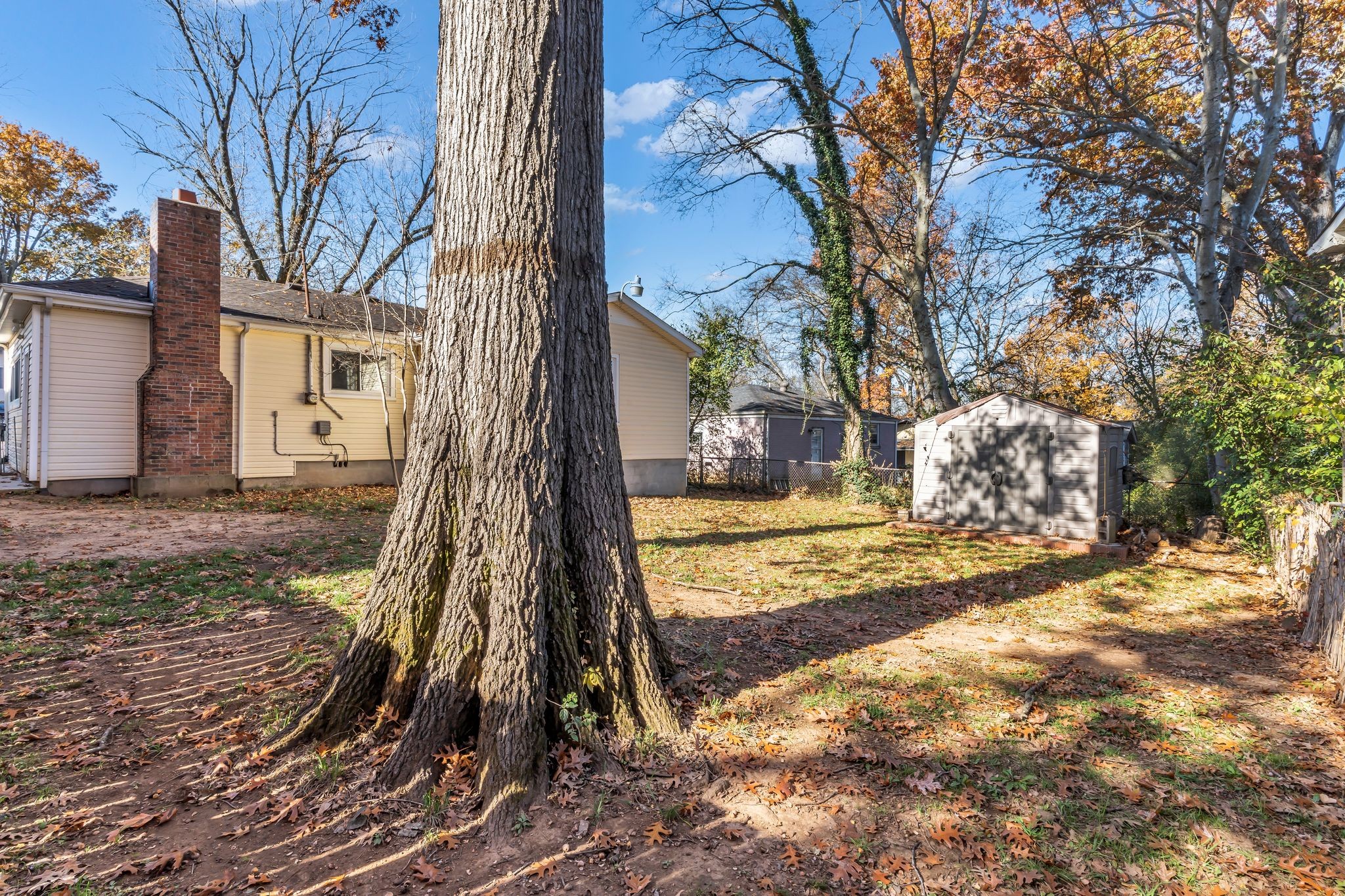 126 Eagan Circle Madison, TN 37115 - Photo 25 of 28 a view of a yard with a tree