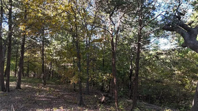 $130,000 | 881-3 Tanglewood Trail, Pottsboro, TX 75076