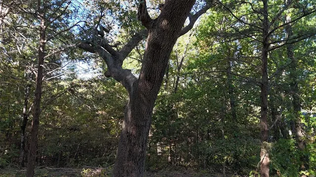 $130,000 | 881-3 Tanglewood Trail, Pottsboro, TX 75076