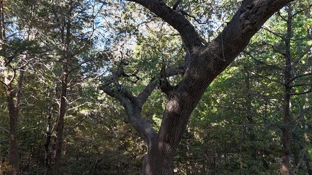 $130,000 | 881-3 Tanglewood Trail, Pottsboro, TX 75076