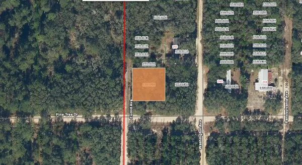 $12,000 | 0 Pine Tree Drive, Palatka, FL 32177