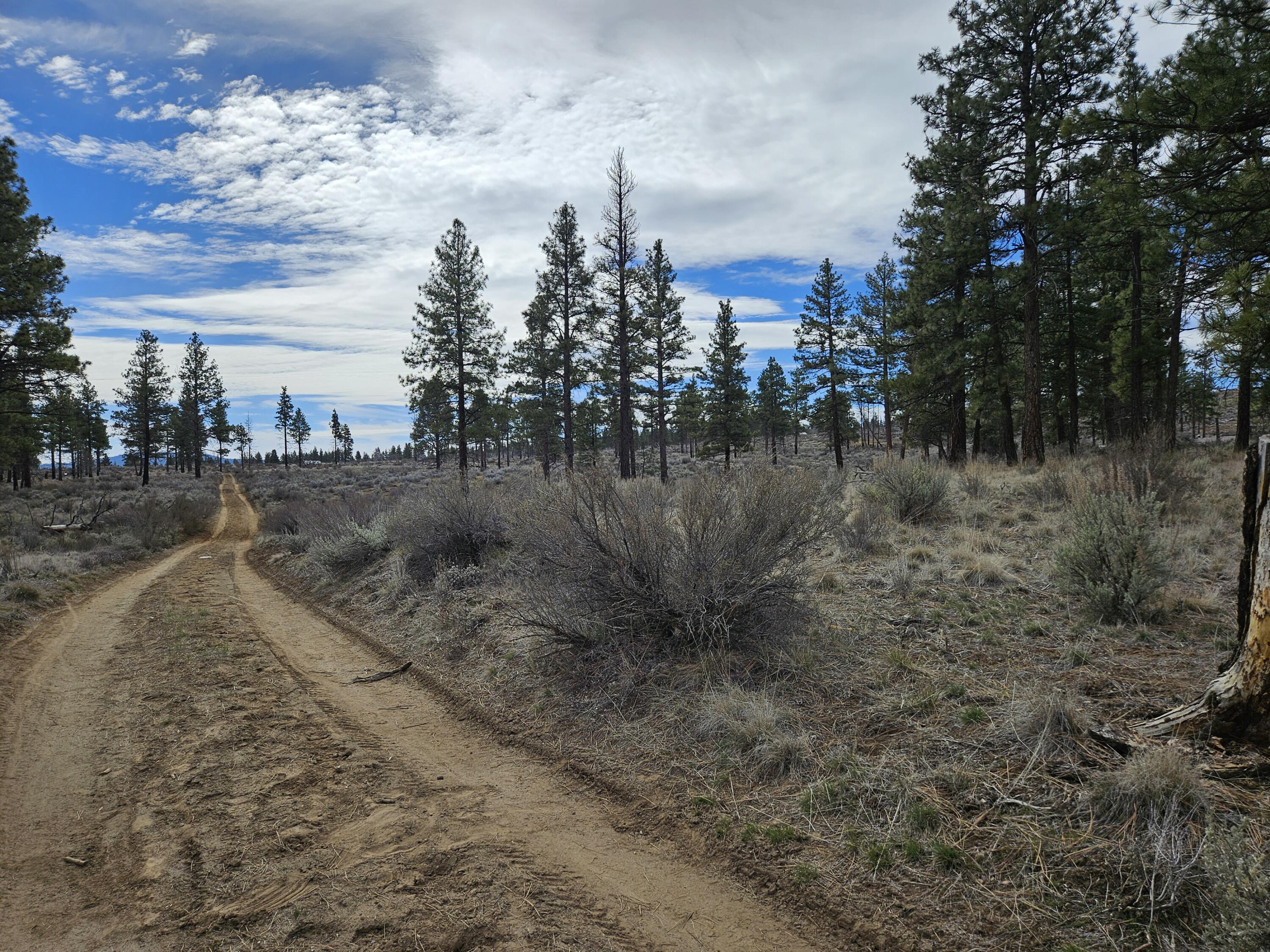 0 Canadian Honker Lane, Unit 9 Chiloquin, OR 97624 - Photo 6 of 11 20260313_123659