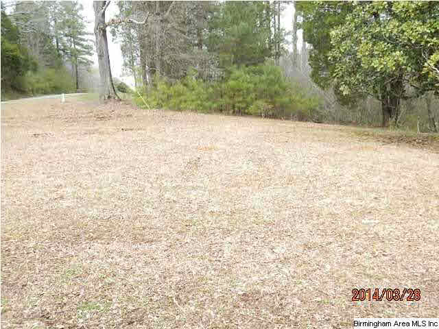 1811 Buttermilk Road Cordova, AL 35550 - Photo 5 of 30