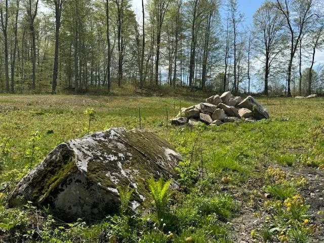 $395,000 | 389 Young Road, Williamstown, VT 05679