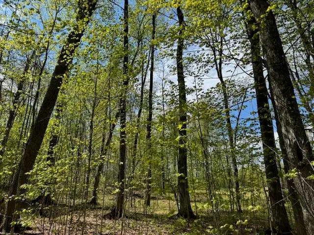 $395,000 | 389 Young Road, Williamstown, VT 05679