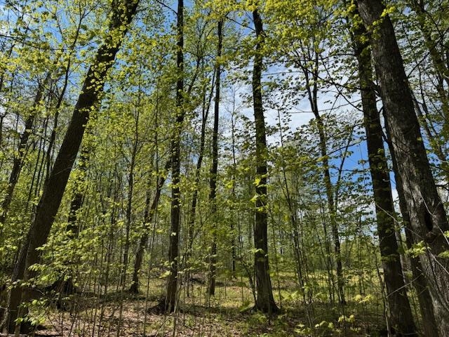 389 Young Road Williamstown, VT 05679 - Photo 17 of 18