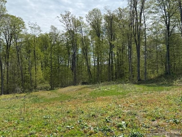 389 Young Road Williamstown, VT 05679 - Photo 6 of 18