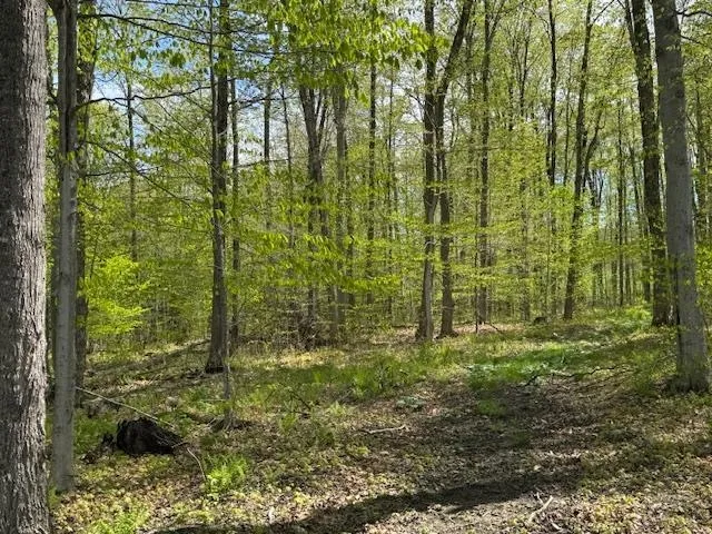 $395,000 | 389 Young Road, Williamstown, VT 05679