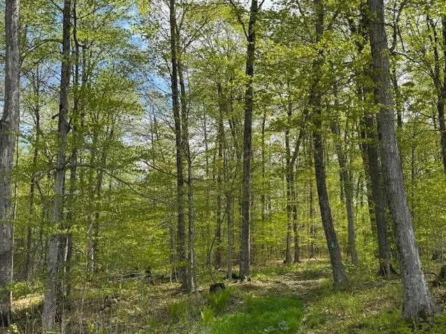 $395,000 | 389 Young Road, Williamstown, VT 05679