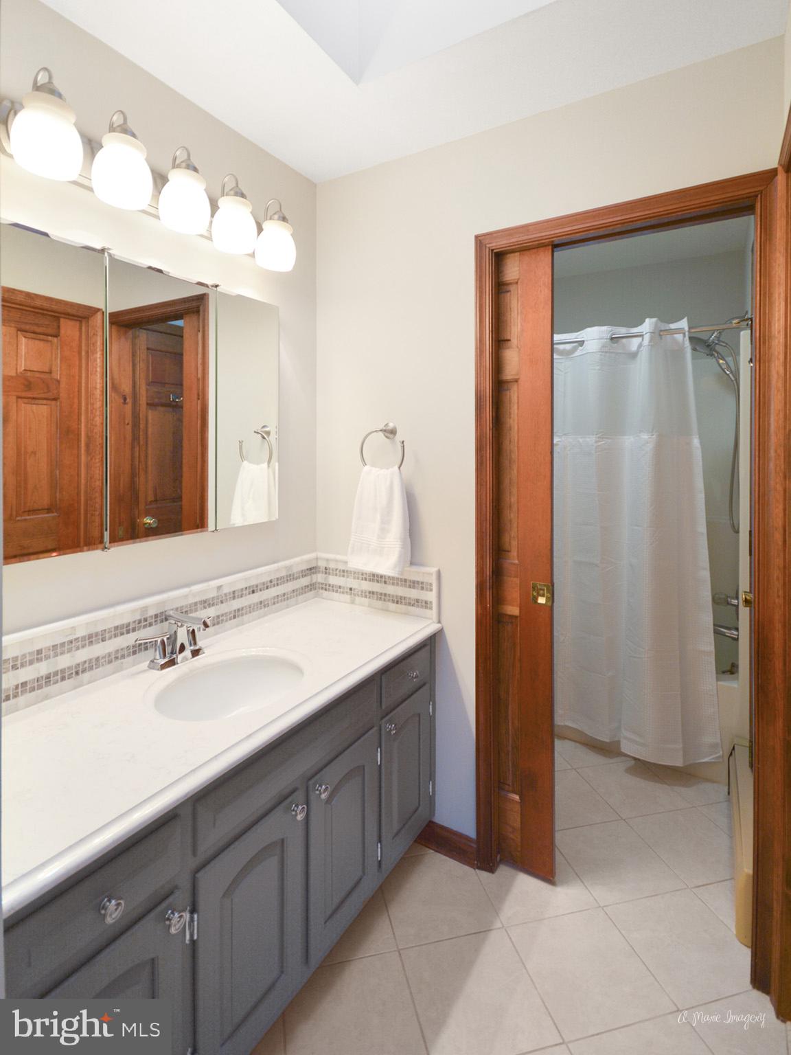 1944 John Shirk Road Taneytown, MD 21787 - Photo 39 of 59 Master bath