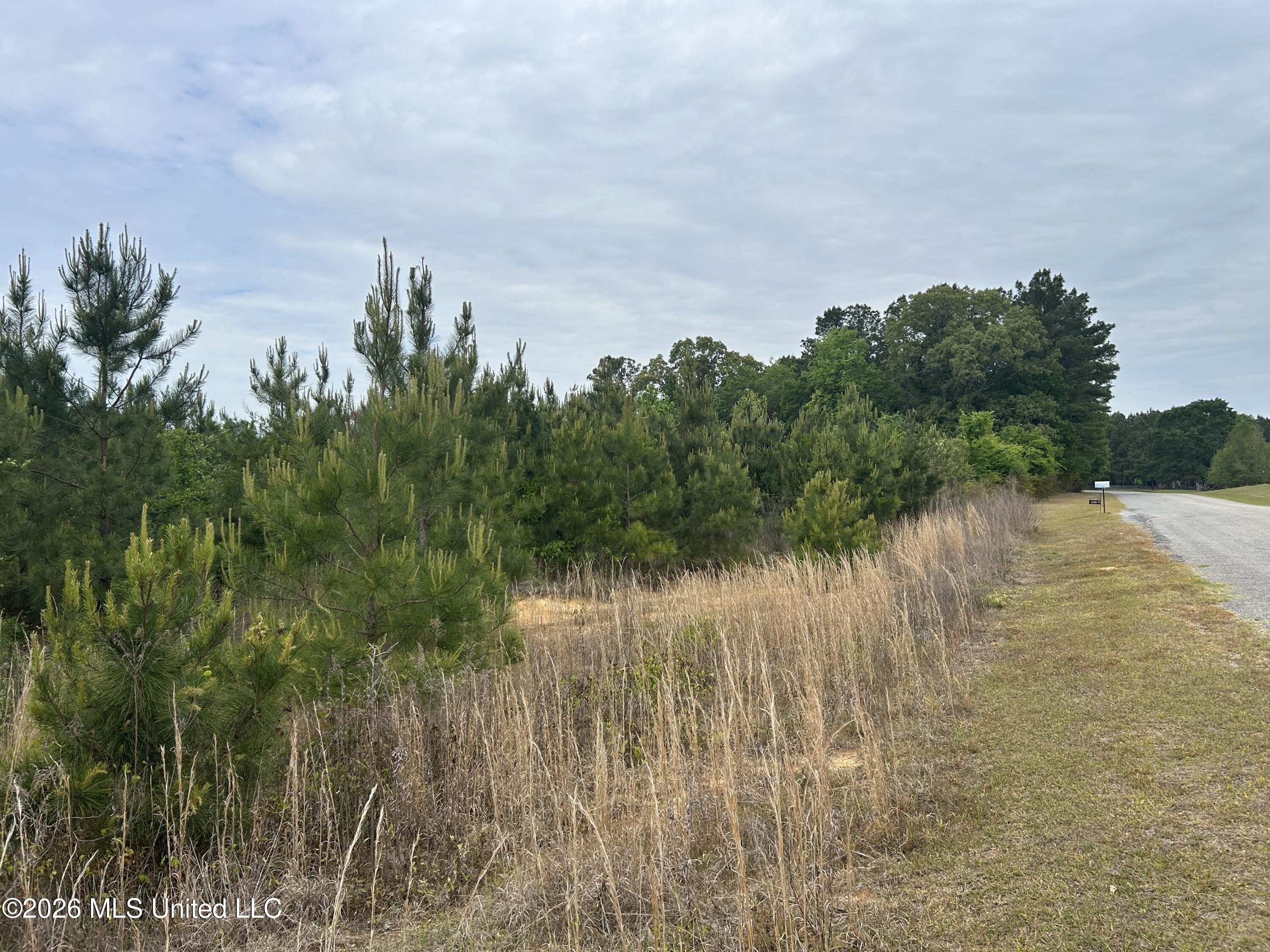 123 County Road Philadelphia, MS 39350 - Photo 5 of 7 IMG_3803 (1)
