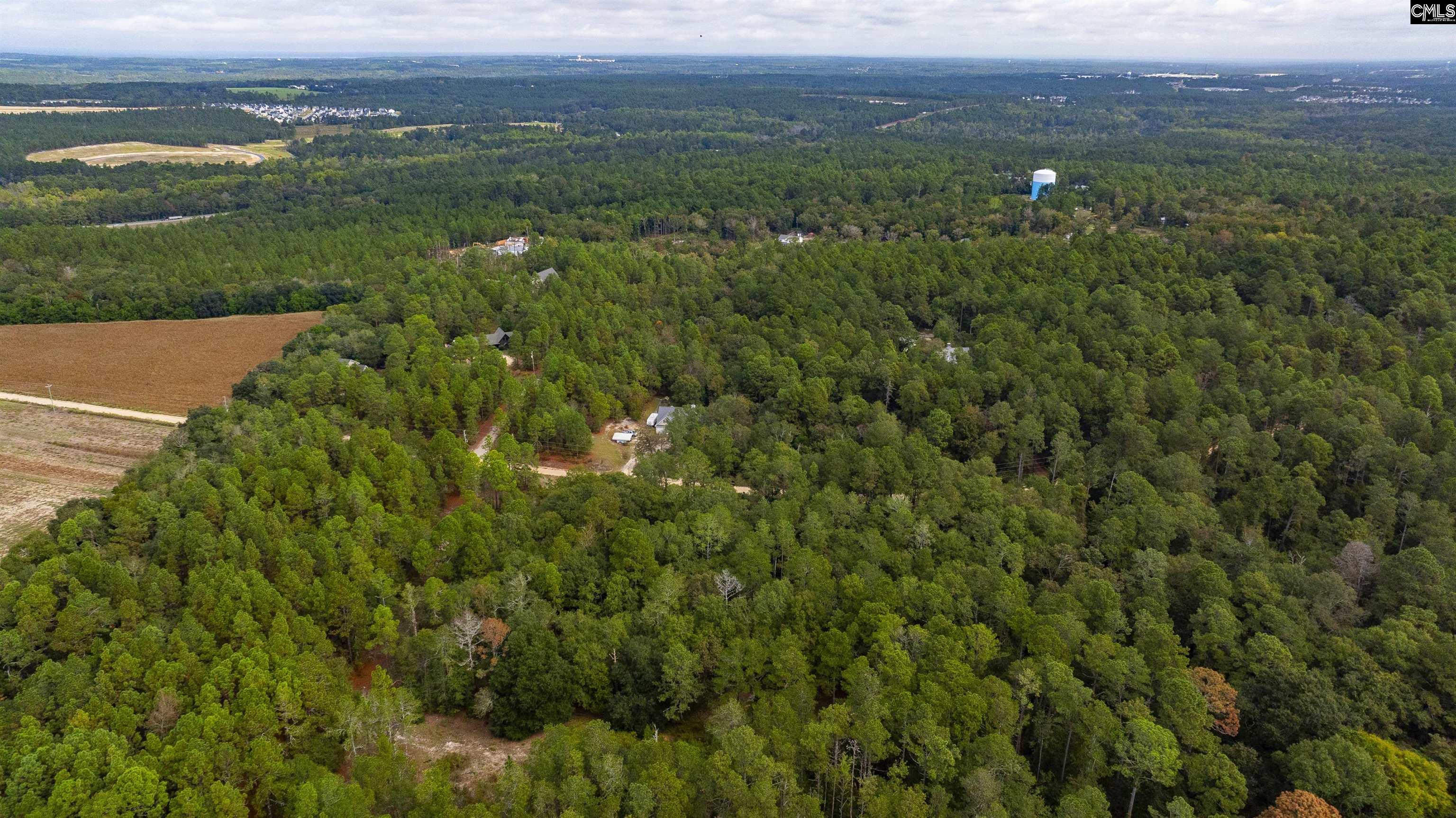 250 Old Gate Road Lexington, SC 29073 - Photo 6 of 25