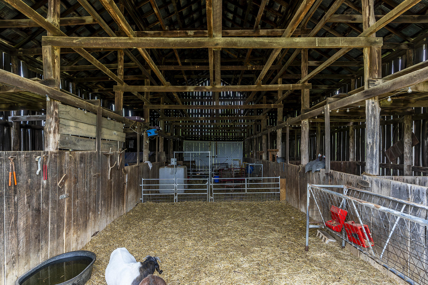 802 Dug Hill Road Irvine, KY 40336 - Photo 37 of 62 800dug35
